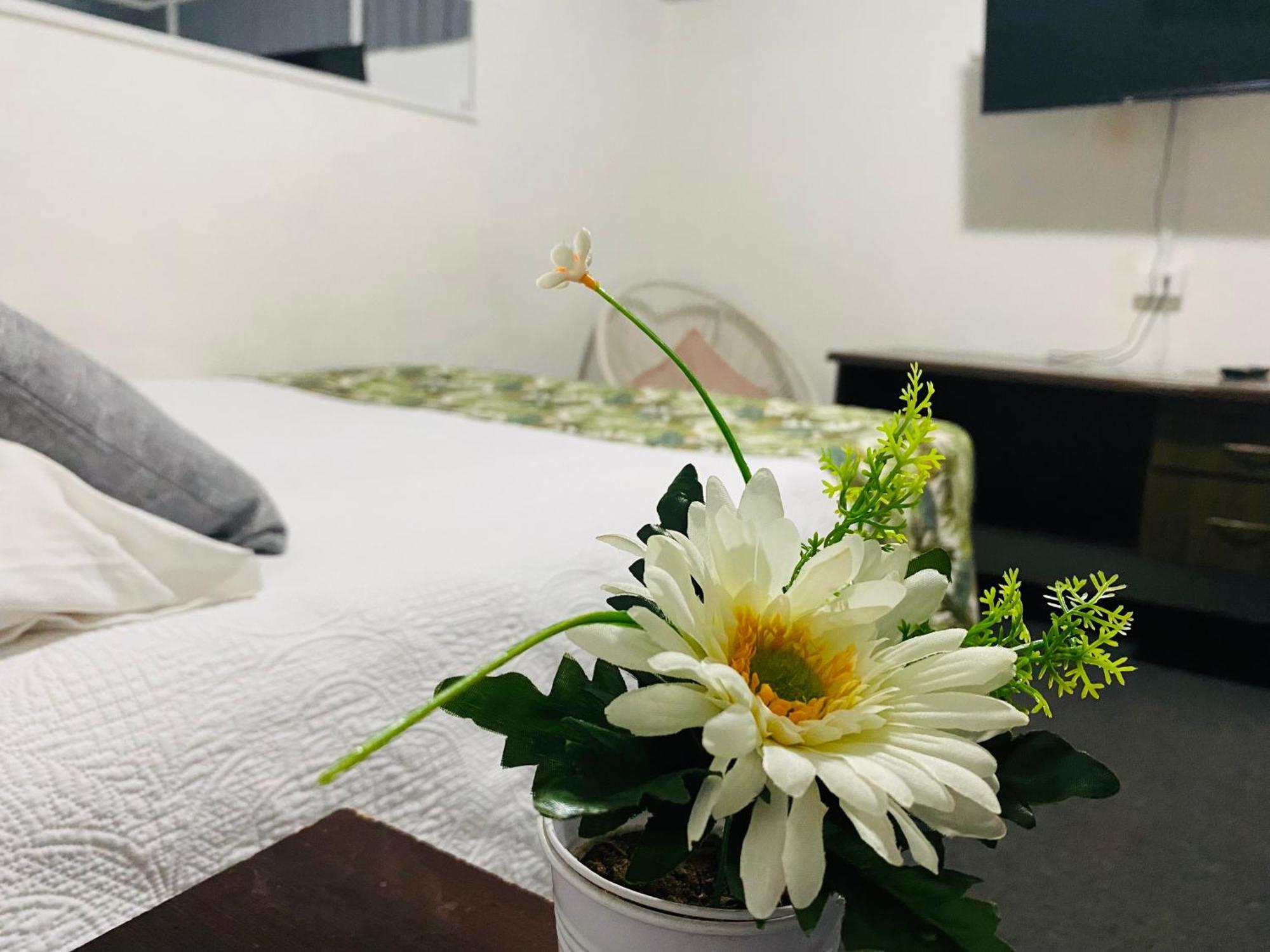 Hostal 3 Norte San Antonio  Eksteriør bilde